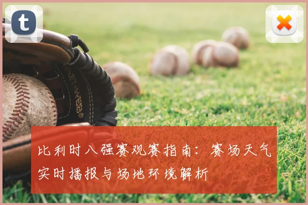 比利时八强赛观赛指南：赛场天气实时播报与场地环境解析